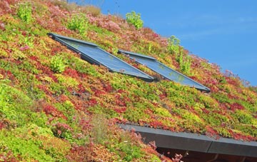 Apperknowle living roof systems